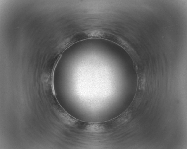 X0000079310521200611251742