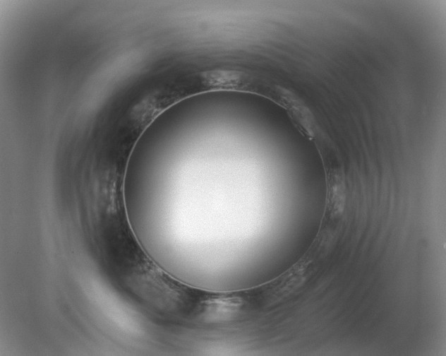 X0000079310525200611251742