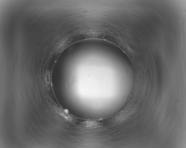 X0000079310528200611251742