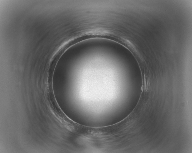 X0000079310531200611251741