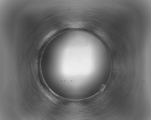 X0000079310535200611251741