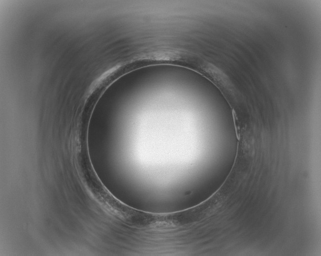 X0000079310536200611251741