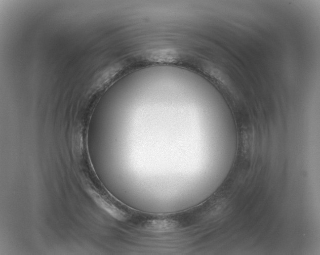 X0000079310541200611251741