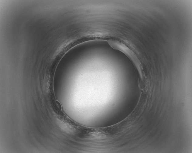X0000079310544200611251741