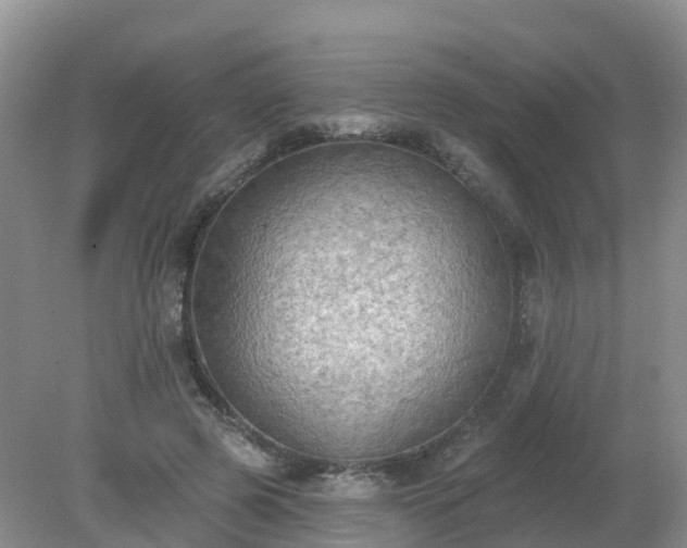 X0000079310545200611251741