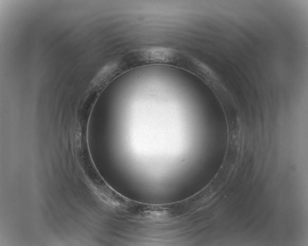 X0000079310552200611251741