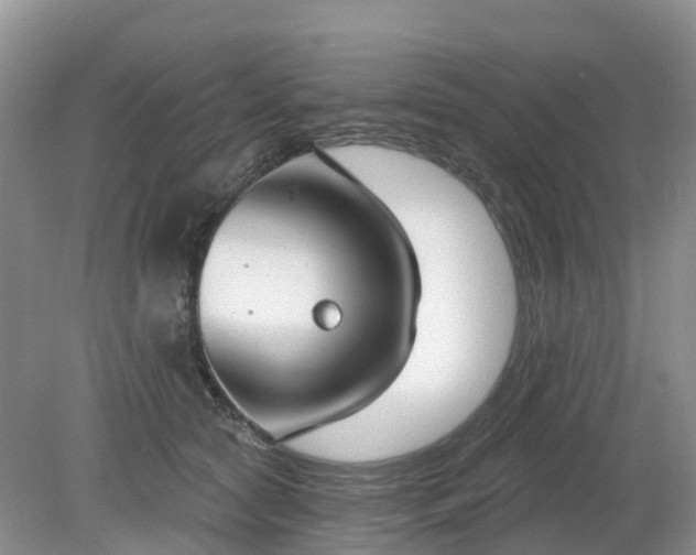 X0000079310561200611251742