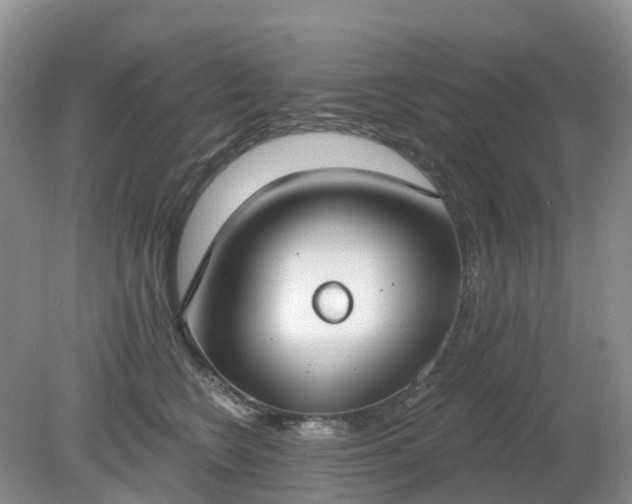 X0000079310566200611251742