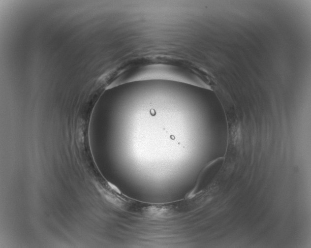 X0000079310570200611251742