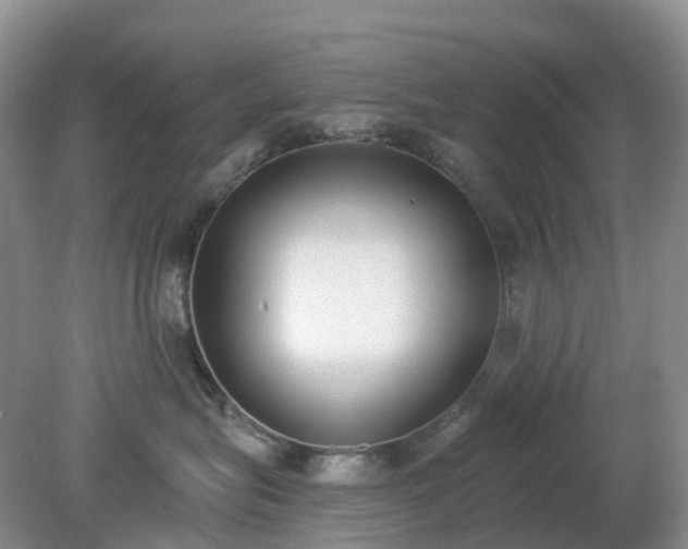 X0000079310575200611251742