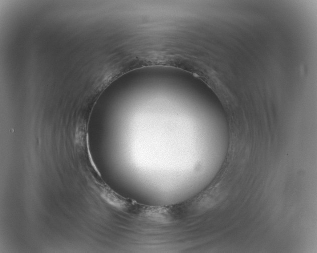 X0000079310576200611251742