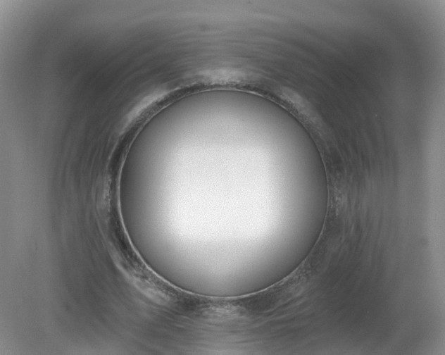 X0000079310583200611251741