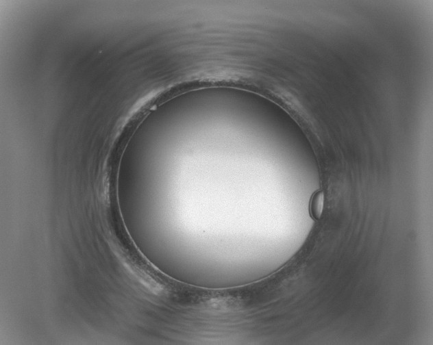 X0000079310584200611251741