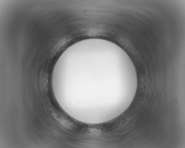 X0000079310592200611251741