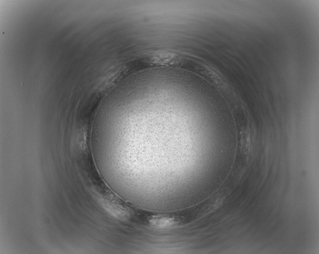 X0000079310602200611251741