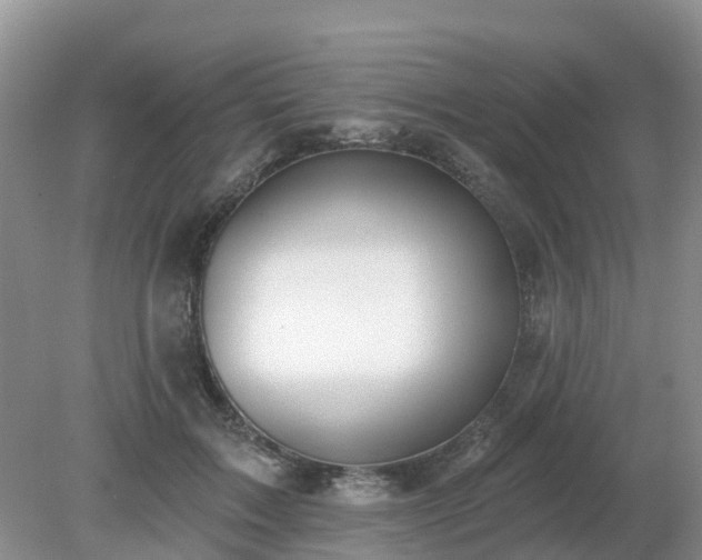 X0000079310603200611251741