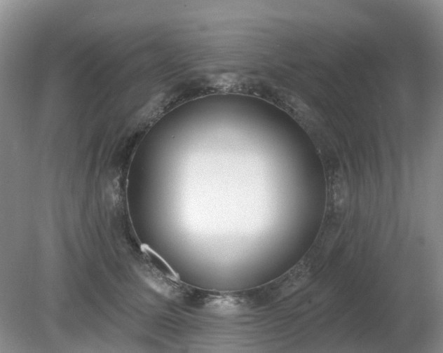 X0000079310611200611251740