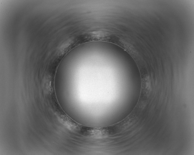 X0000079310615200611251740