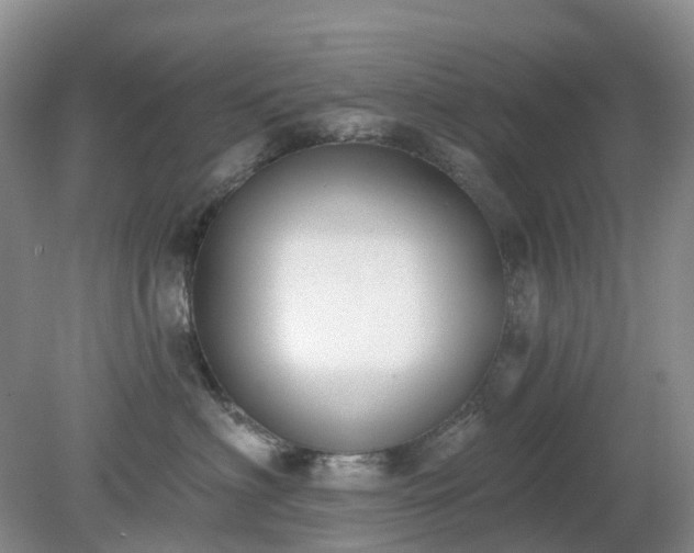 X0000079310622200611251740
