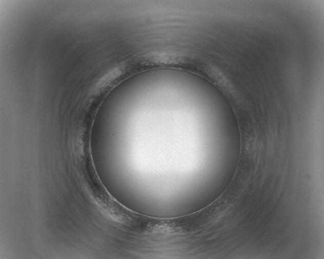 X0000079310635200611251740