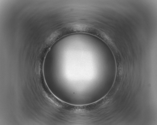 X0000079310637200611251740