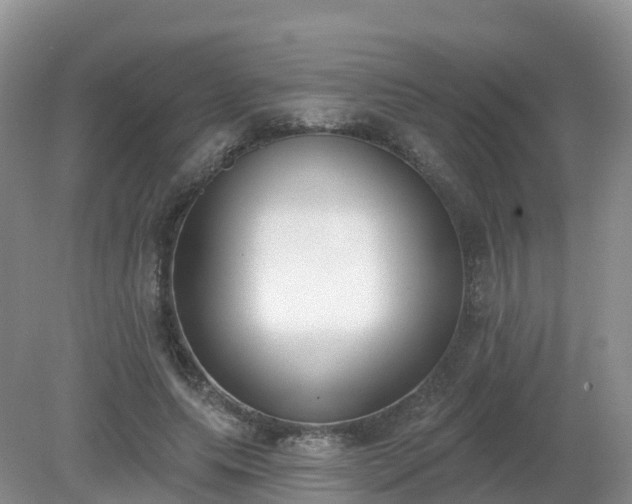 X0000079310639200611251740