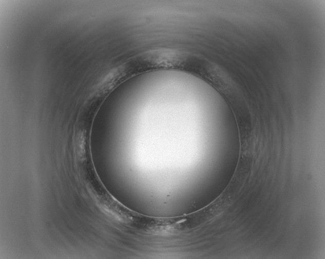 X0000079310646200611251740