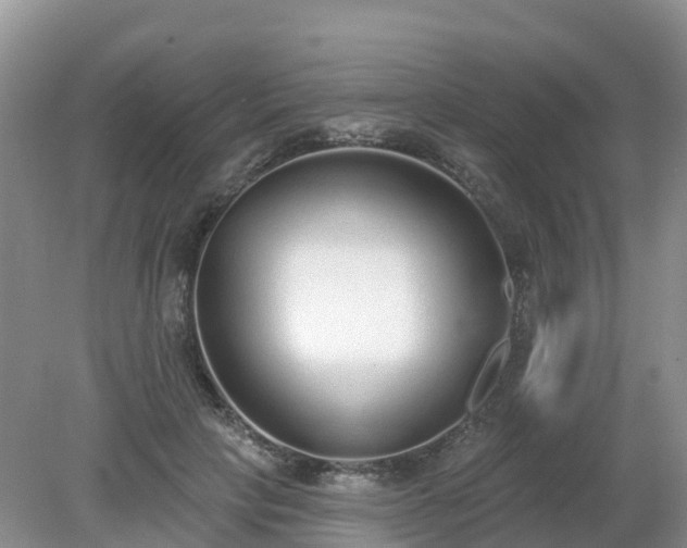 X0000079310649200611251740
