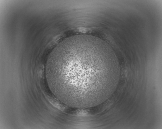 X0000079310656200611251740