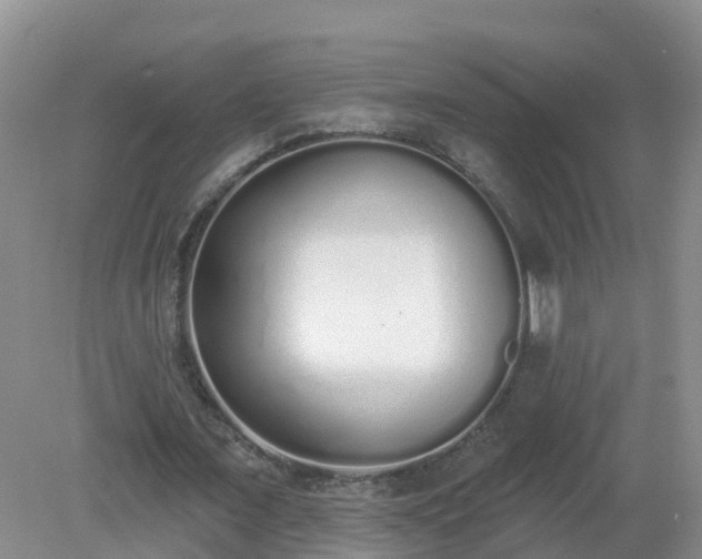 X0000079310675200611251739