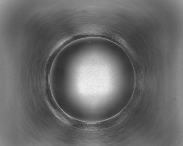 X0000079310677200611251739