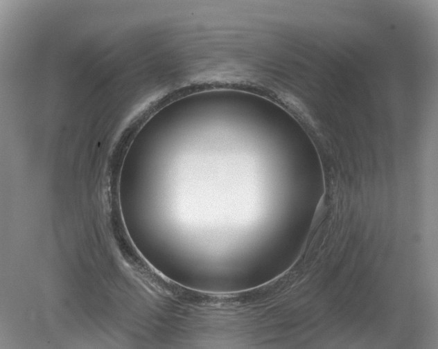 X0000079310680200611251739