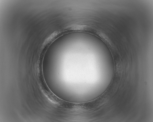 X0000079310682200611251739