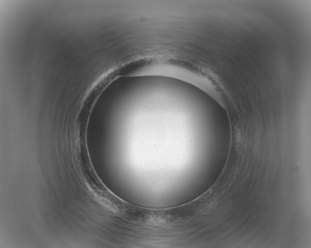 X0000079310684200611251739