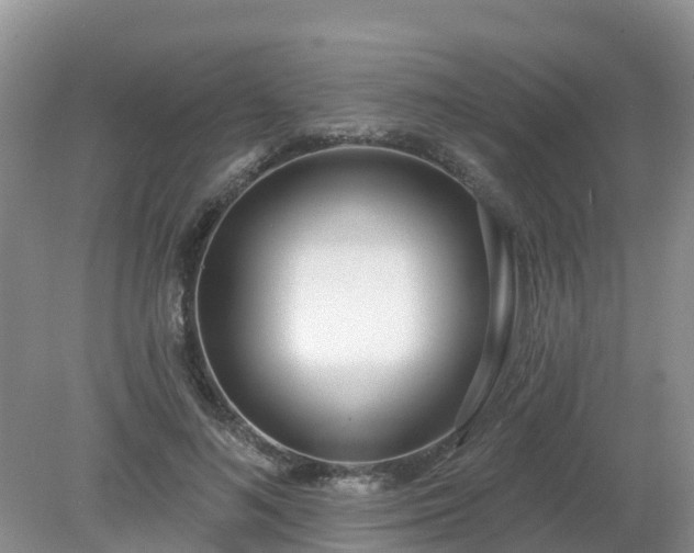 X0000079310692200611251739