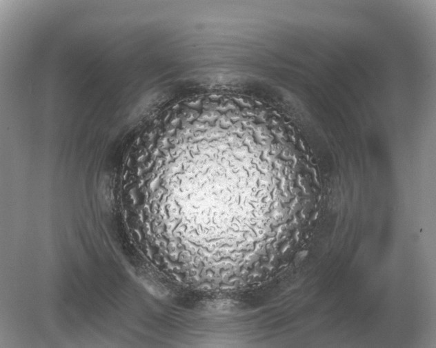 X0000079310695200611251739