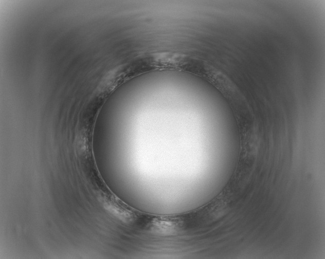 X0000079310706200611251739