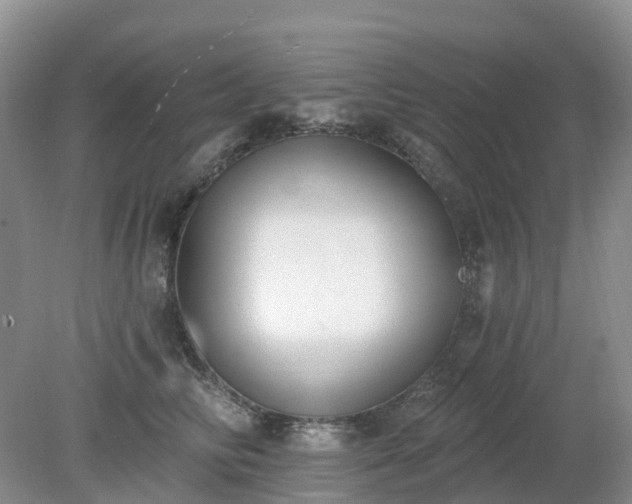 X0000079310710200611251739