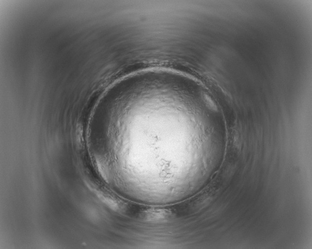 X0000079310711200611251739