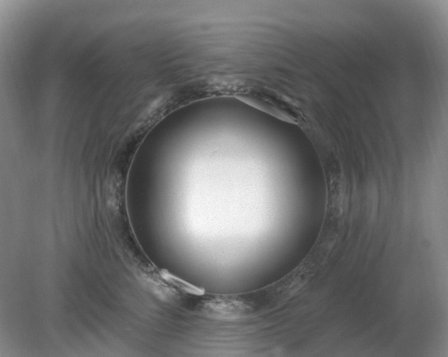 X0000079310712200611251739
