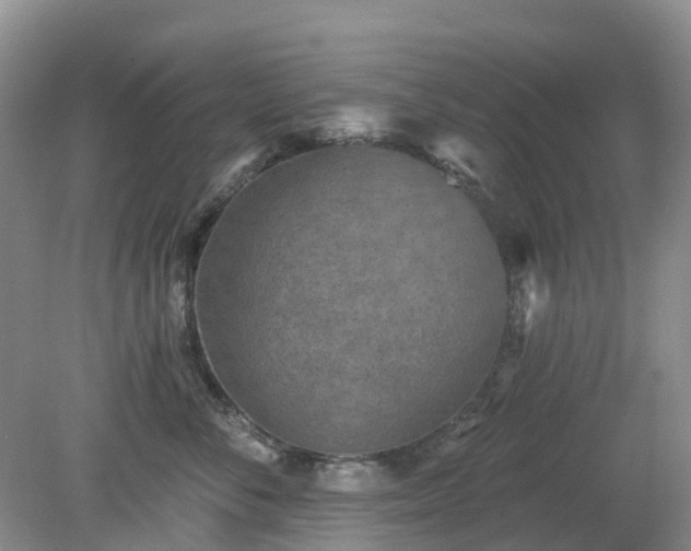 X0000079310716200611251739