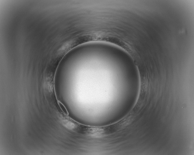 X0000079310719200611251739