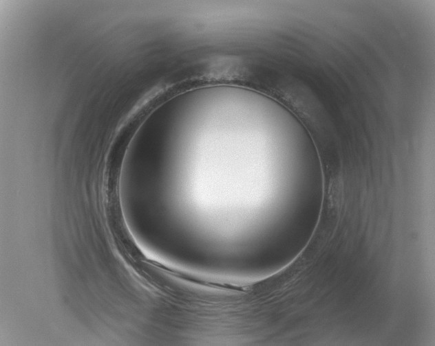 X0000079310722200611251738