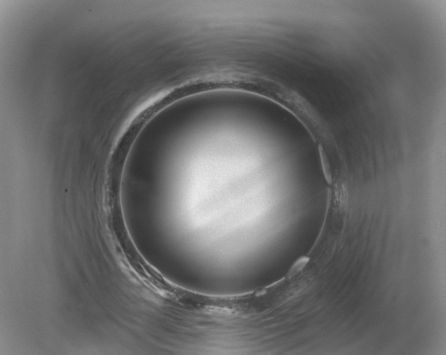 X0000079310724200611251738