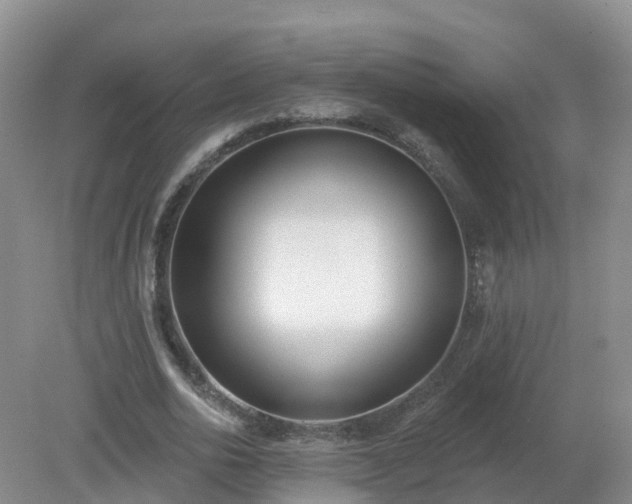 X0000079310726200611251738