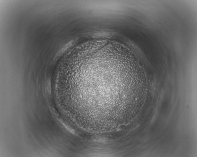 X0000079310729200611251738