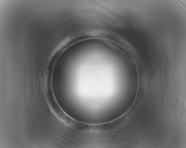X0000079310730200611251738