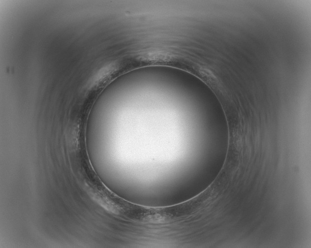 X0000079310735200611251738