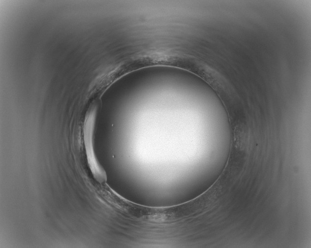 X0000079310740200611251738