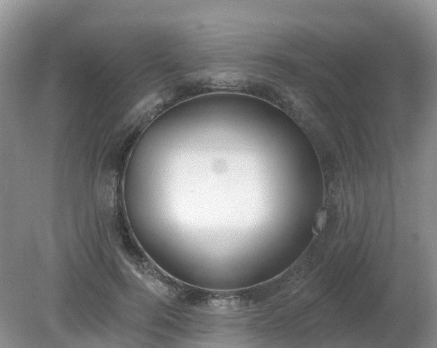 X0000079310744200611251738